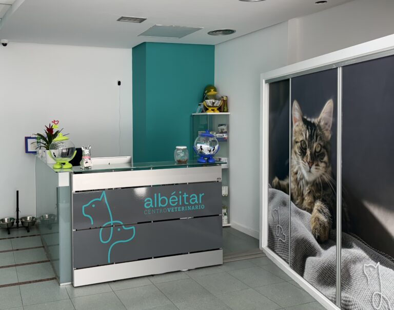 Clínica Veterinaria Albeitar